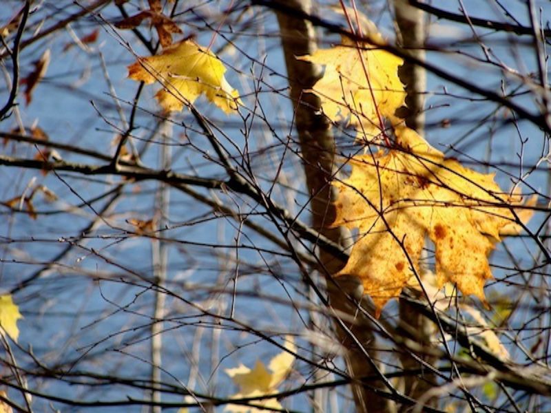 Im Loslassen Halt finden